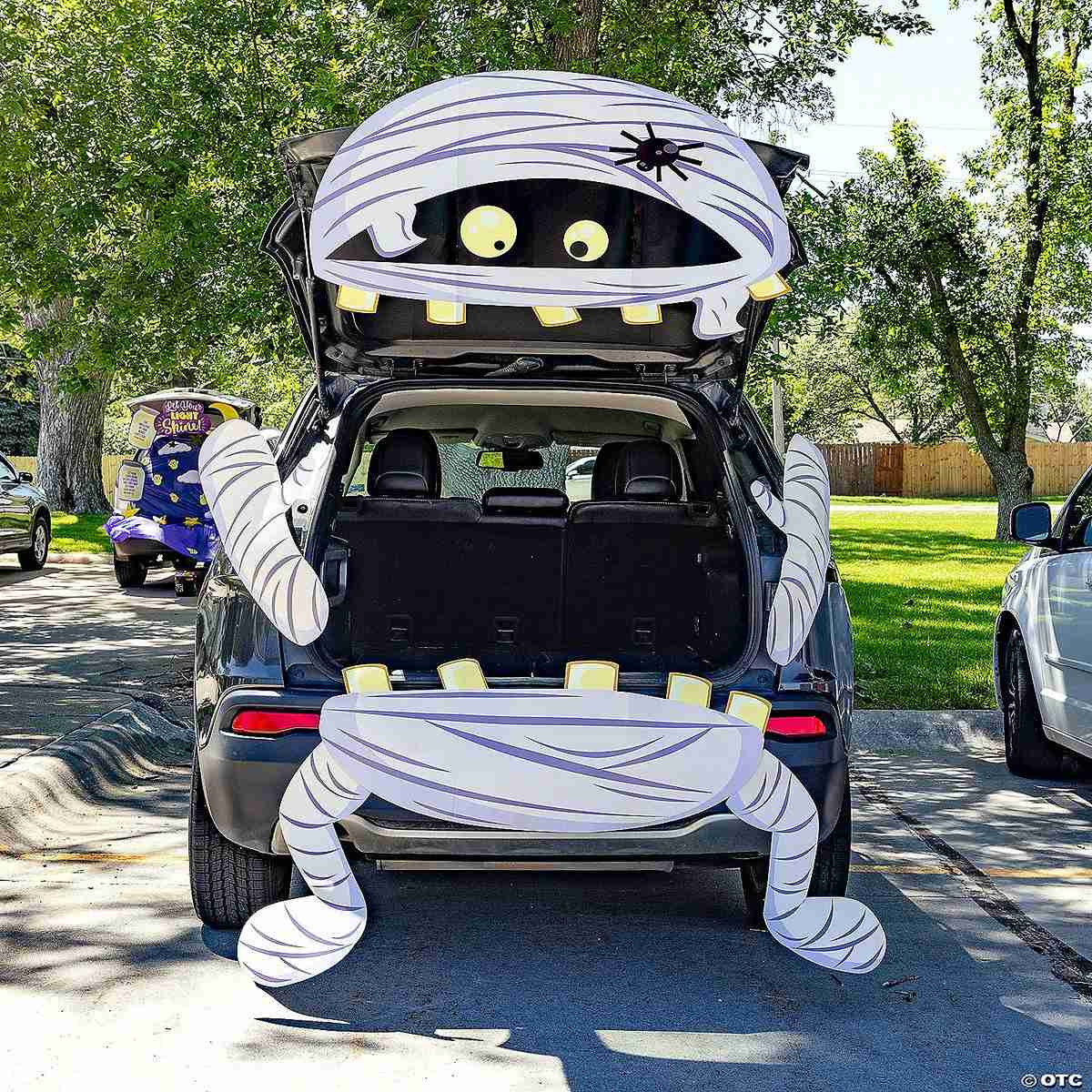 Mummy Car Display