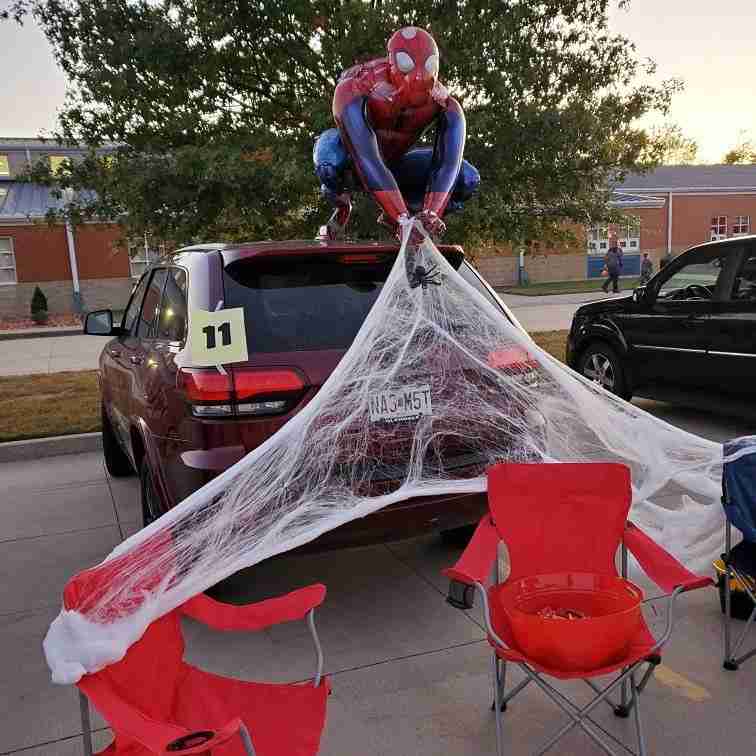 Spider-Man Web Display