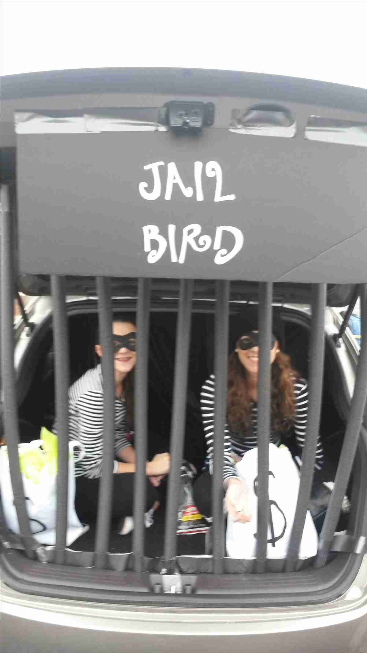 Jailbird Robber Display