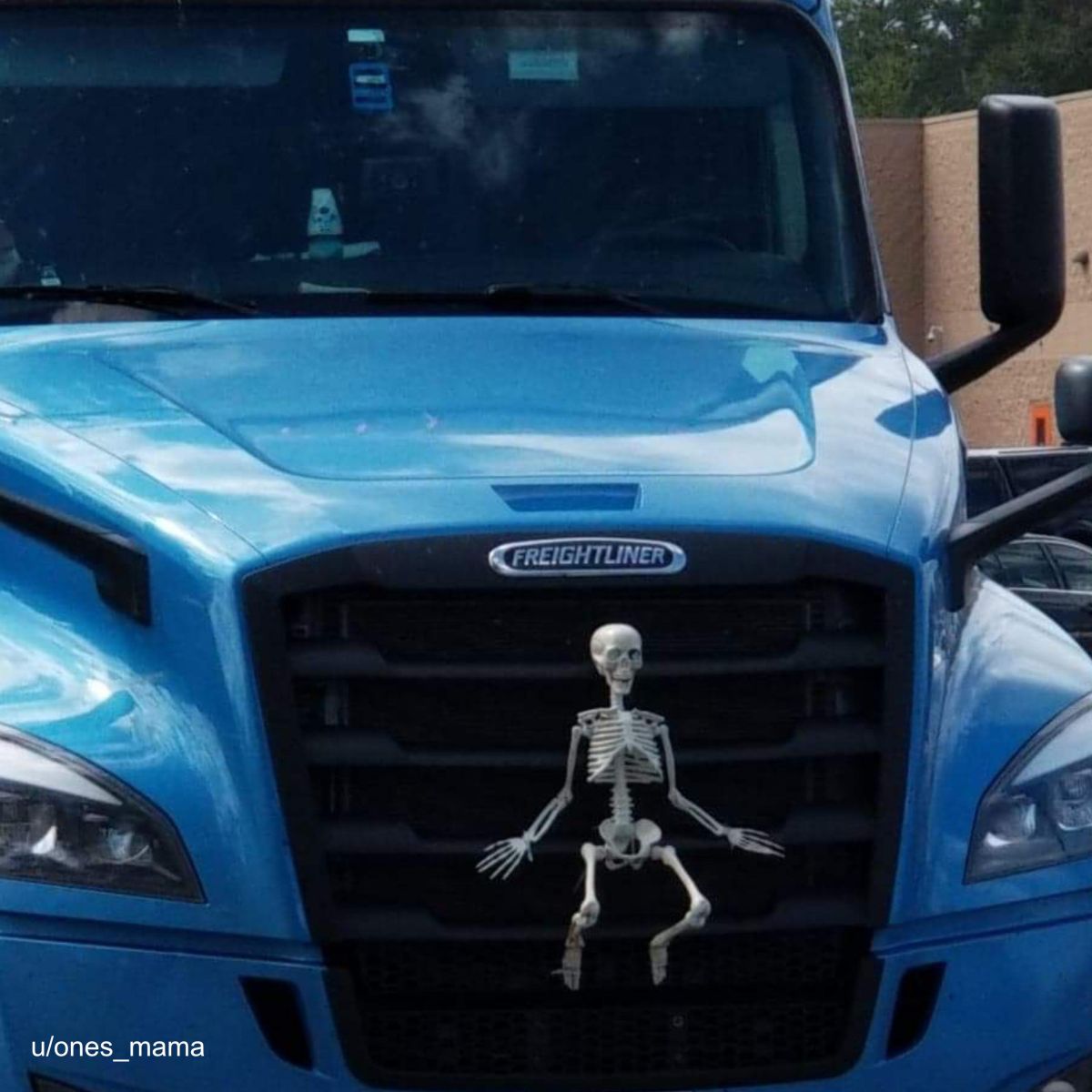 Mini Skeleton Grill Attachment