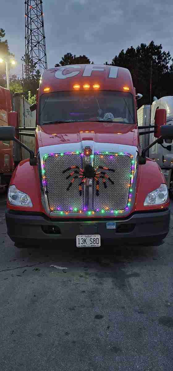 Lighted Spider Grille Accent