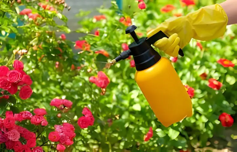 17 Ways to Use Vinegar in Your Garden