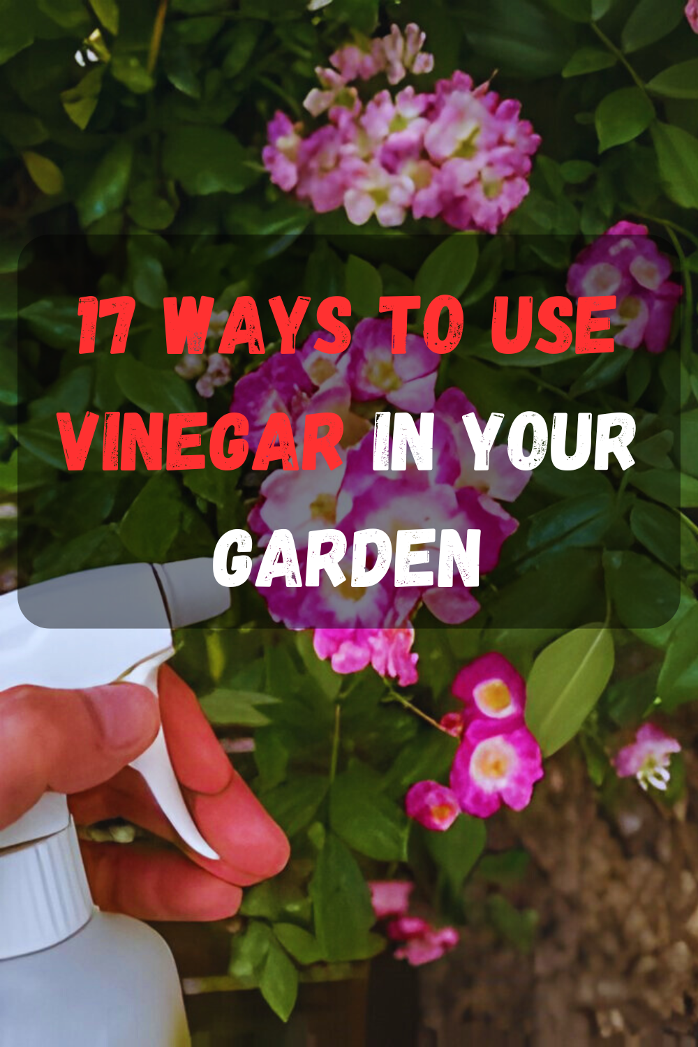 17 Ways to Use Vinegar in Your Garden TopReviewsAdviser