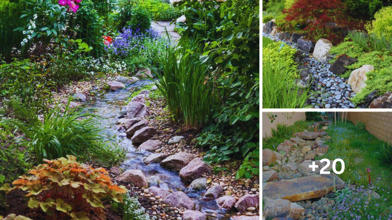 23 Inspiring River Landscaping Ideas