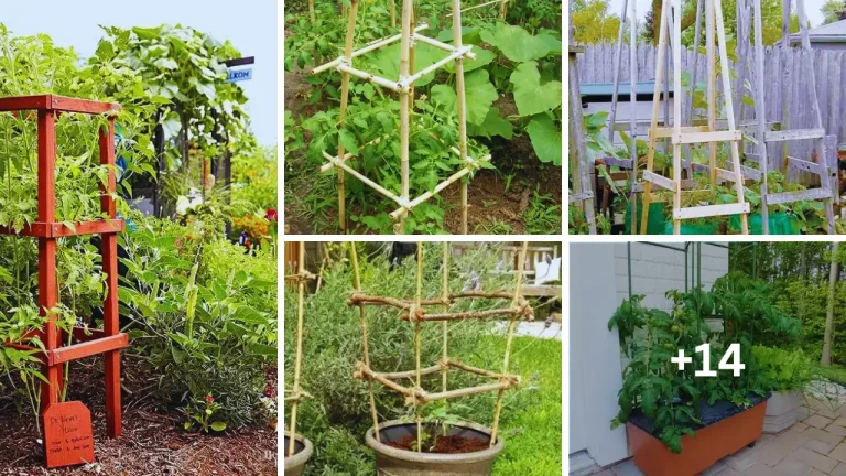 19 Creative DIY Tomato Cage Ideas for Your Garden