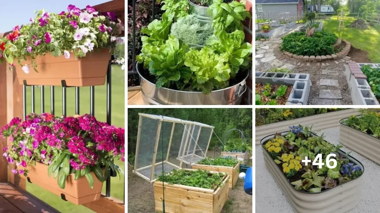 51 Brilliant Raised Garden Bed Ideas for Every Budget!