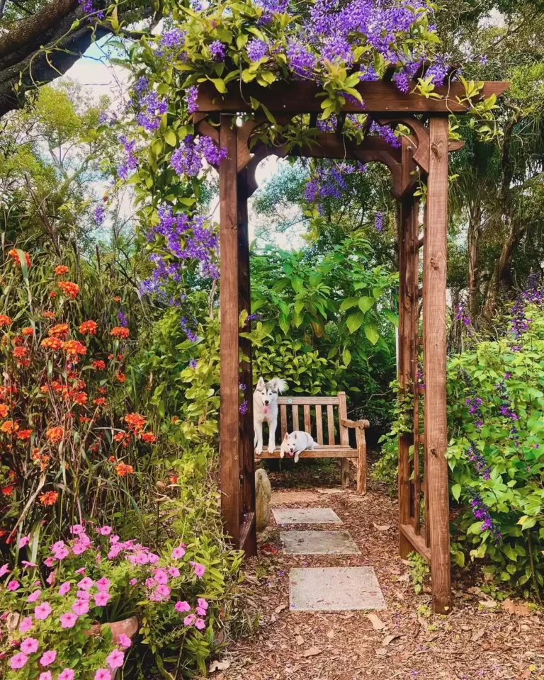 21 Secret Garden Ideas That Will Transform Your Outdoor Space