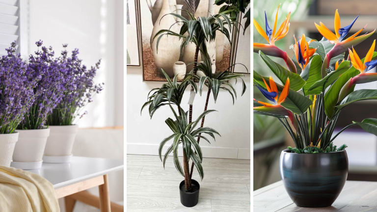 21 Bedroom Plants Decor Ideas to Transform Your Space