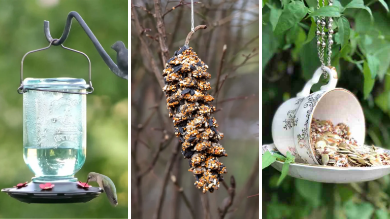 15 DIY Bird Feeders Ideas