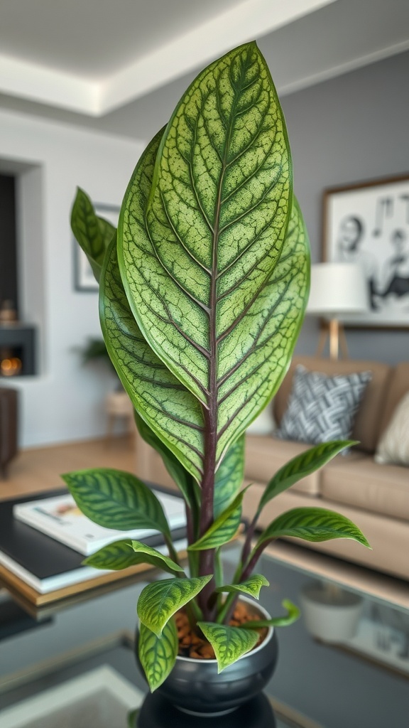 A vibrant nerve plant with intricate green leaves and dark veins, placed on a table in a modern living room setting.