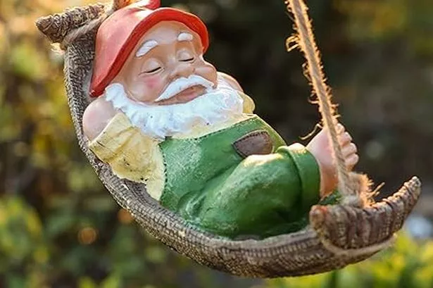 A colourful male gnome with a red hat and green outfit sleeps in hammock hanging from a tree