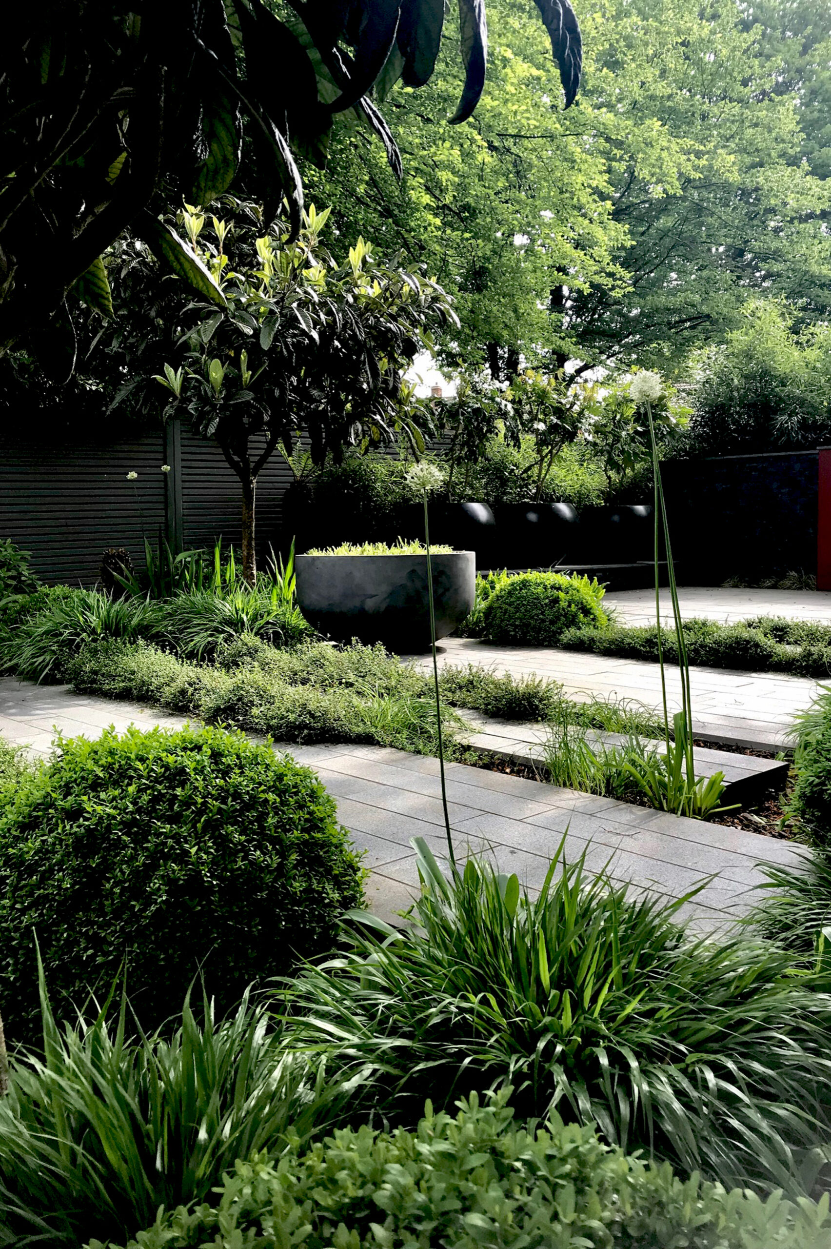 a shade garden with lots of foliage including hakonecloa