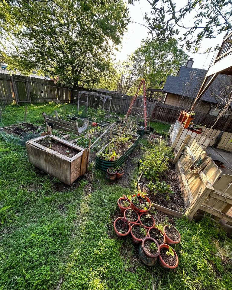 19 Pallet Garden Ideas to Transform Your Outdoor Space