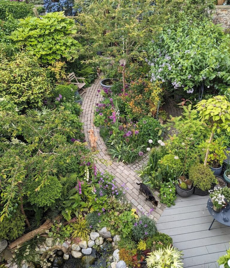 17 Woodland Garden Design Ideas
