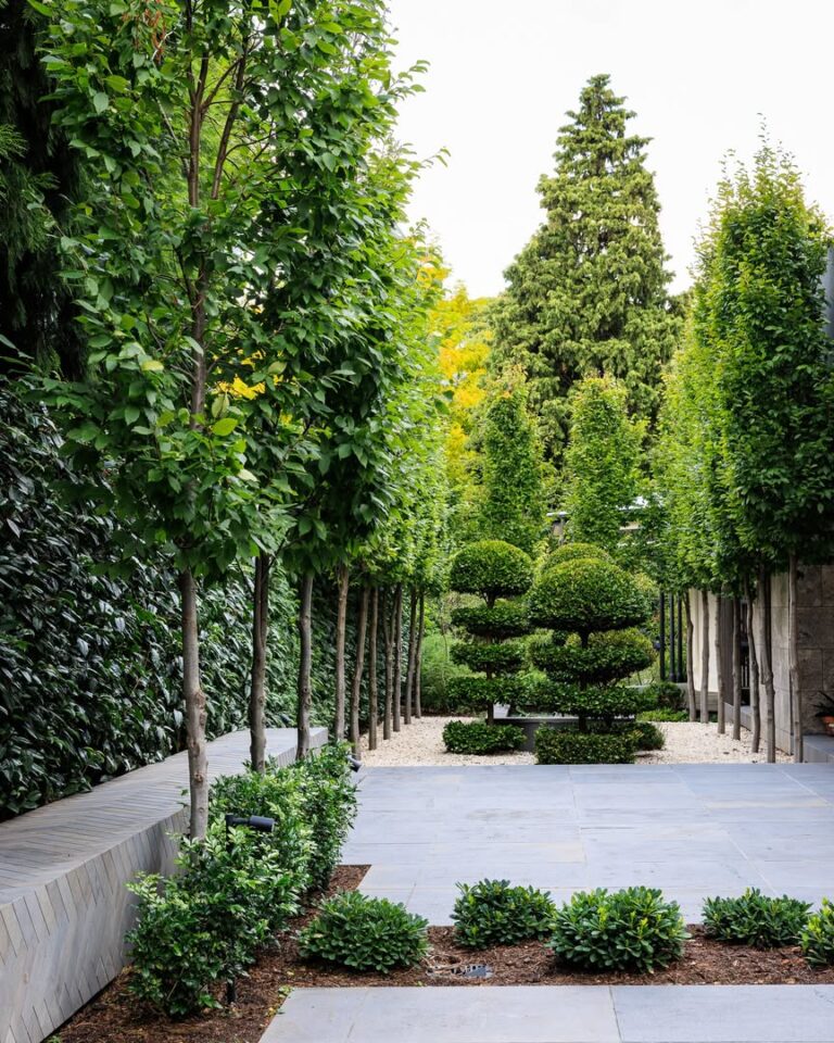 21 Forest Garden Ideas for a Naturally Beautiful Outdoor Living Space