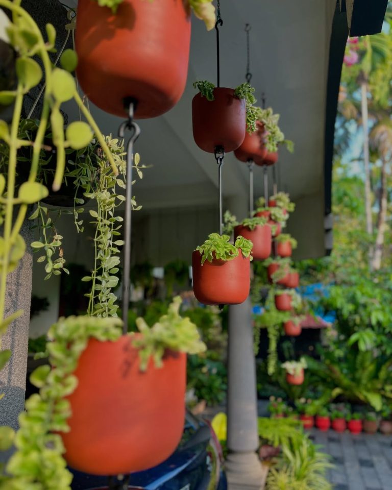 17 Container Gardening Ideas for Your Home