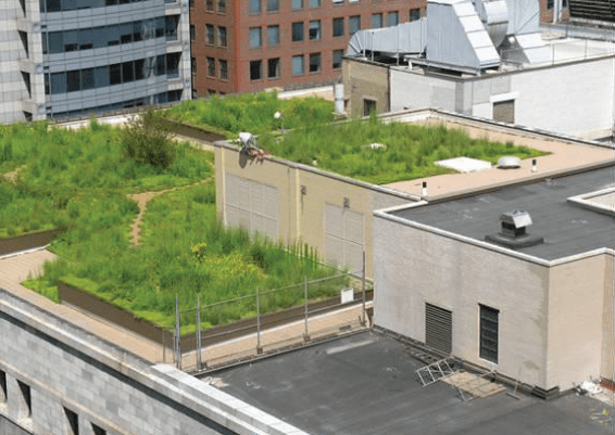 GREEN ROOF & DRAINAGE