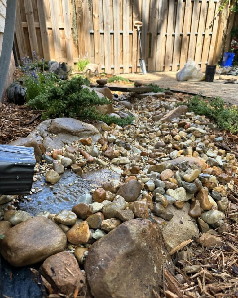 15 Dry Rock Bed Ideas for Drainage: A Comprehensive Guide