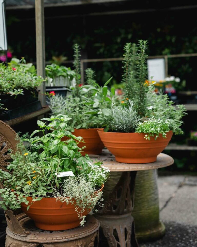 19 Flower Pot Arrangements Outdoor for a Stylish Porch or Patio Makeover
