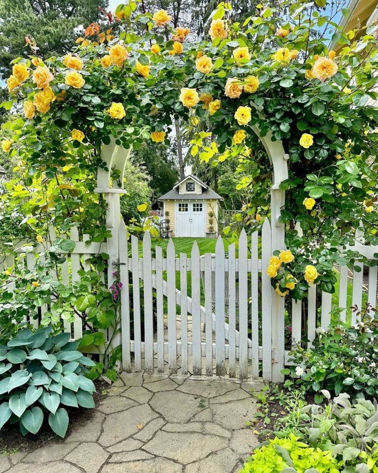 15 Cheap Fence Ideas That Look Amazing and Won’t Break the Bank