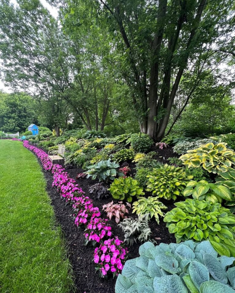 19 Shade Garden Ideas to Transform Your Outdoor Space
