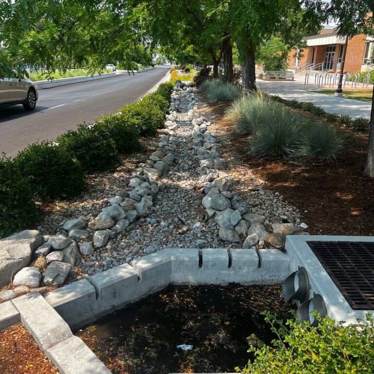 21 Yard Drainage Ideas for a Beautiful, Flood-Free Outdoor Space