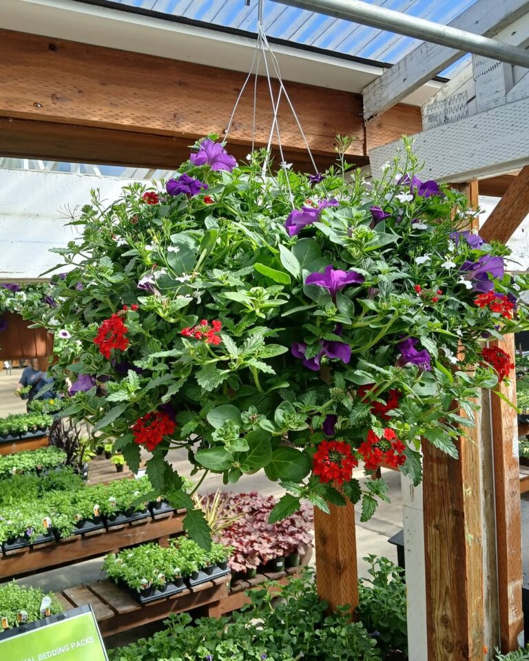 21 Indoor Herb Garden Ideas