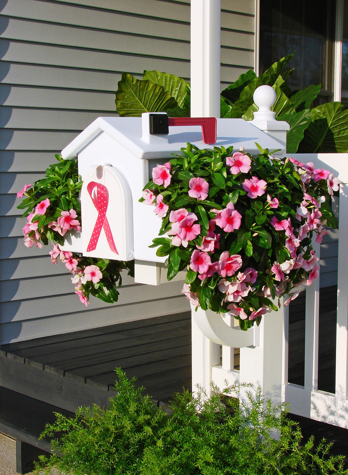 13+ Mailbox Planter Ideas