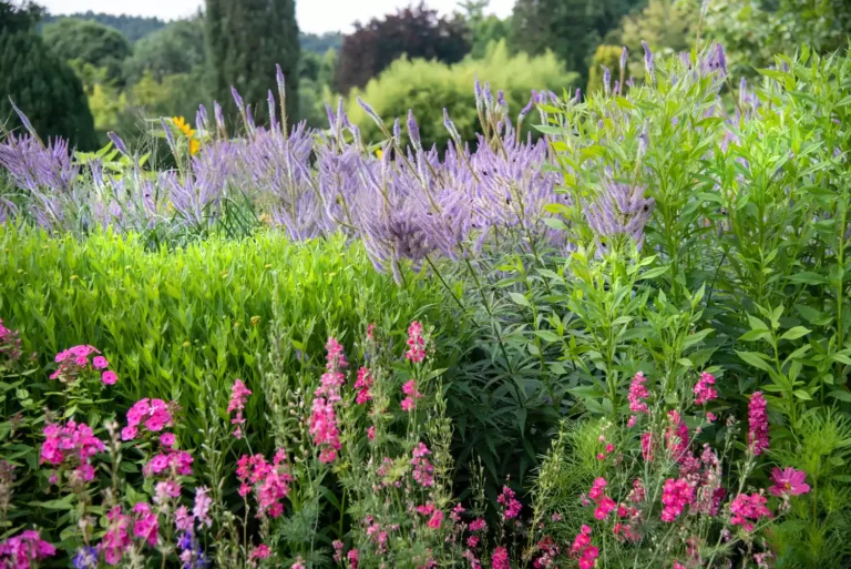 29+Dreamy Flower Garden Ideas to Inspire Your Coziest Outdoor Space