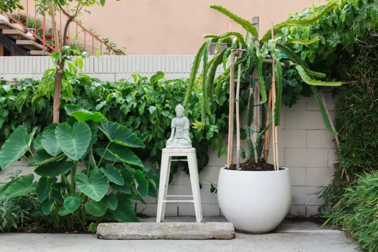 27+ DIY Garden Trellis Ideas