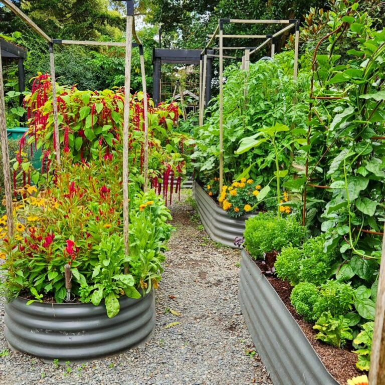 25+ Dreamy Vegetable Garden Layout Ideas