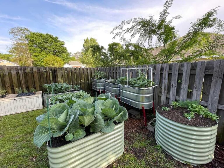 27+ Raised Garden Beds Diy