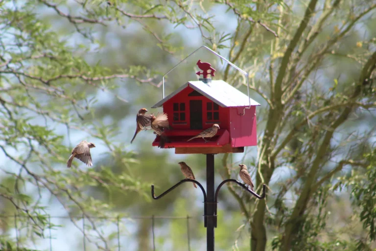 27+ Small Garden Design Ideas