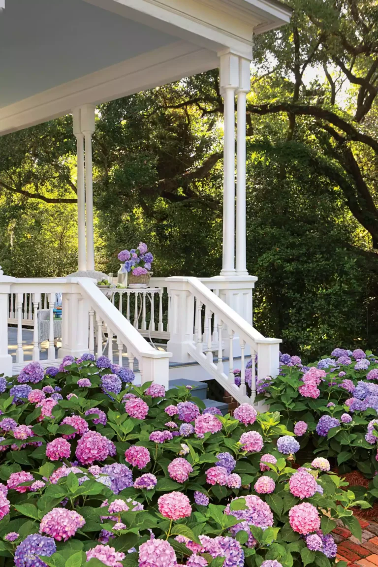 29+ Hydrangea Garden Ideas