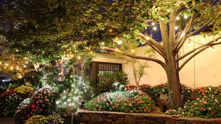 29+ Dollar Tree Solar Light Ideas for Backyard Patios You’ll Love